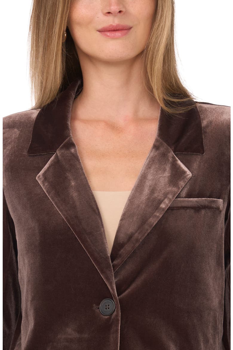 Velvet Crop Blazer, Alternate, color, CHOCOLATE