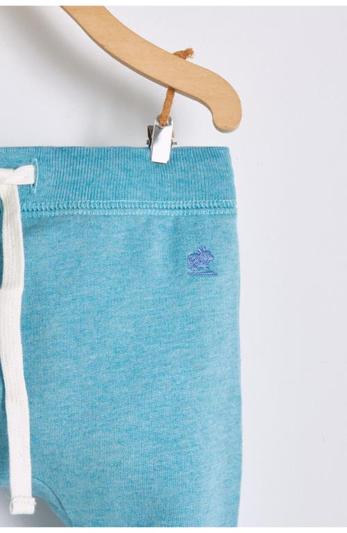 Babycottons Pima Colors Harem Baby Pants For Infant In Blue