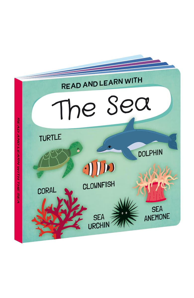 Sassi Q Box The Sea Read Play Learn Underwater 40 Piece Set, Alternate, color, Multicolored