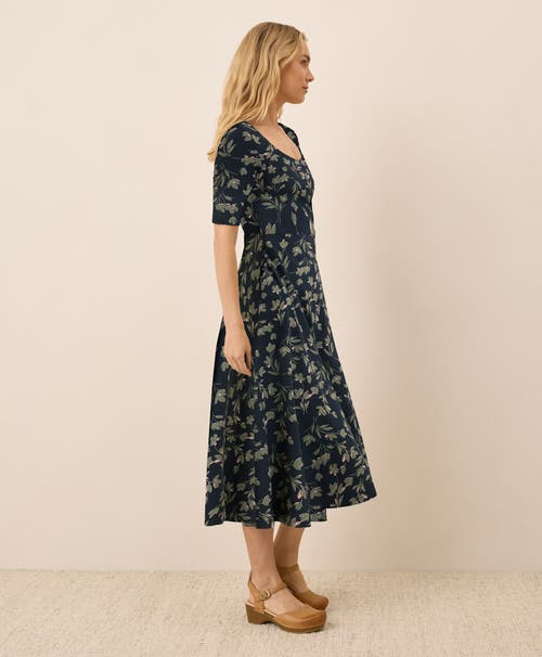Pact Fit & Flare Signature Scoop Dress In Blue