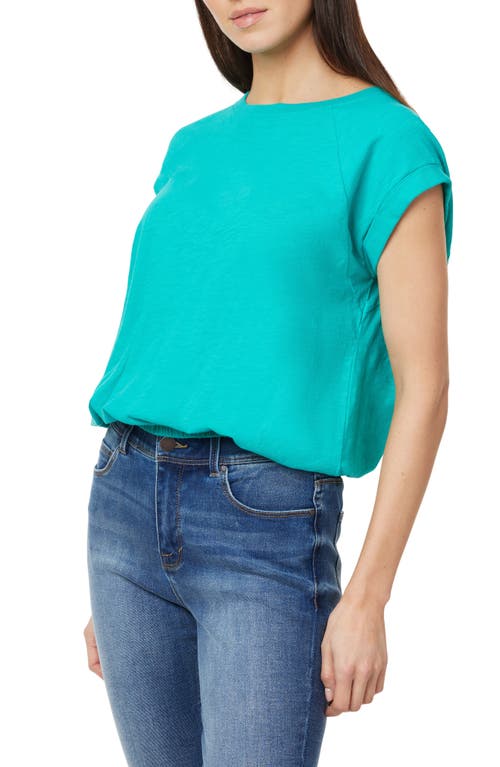 Curve Appeal Cap Sleeve Cotton T-shirt In Spectra Green
