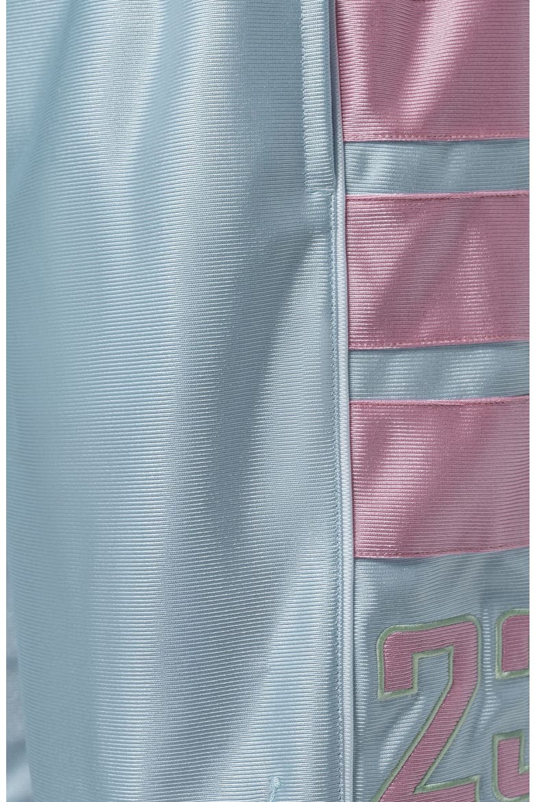 Brooklyn Cat Scratch Shorts, Alternate, color, AURA/ ICED CARMINE