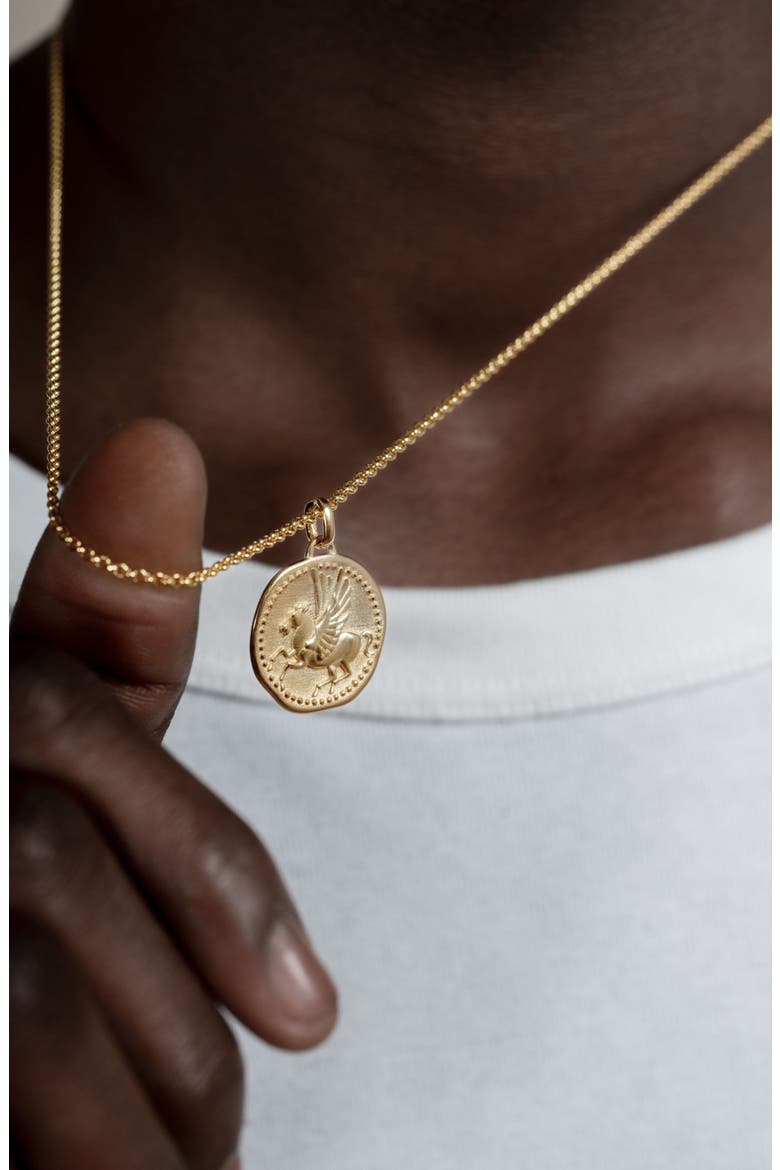 Men's 'Overcome and Thrive' Pegasus Talisman Necklace, Alternate, color, Yellow Gold Vermeil
