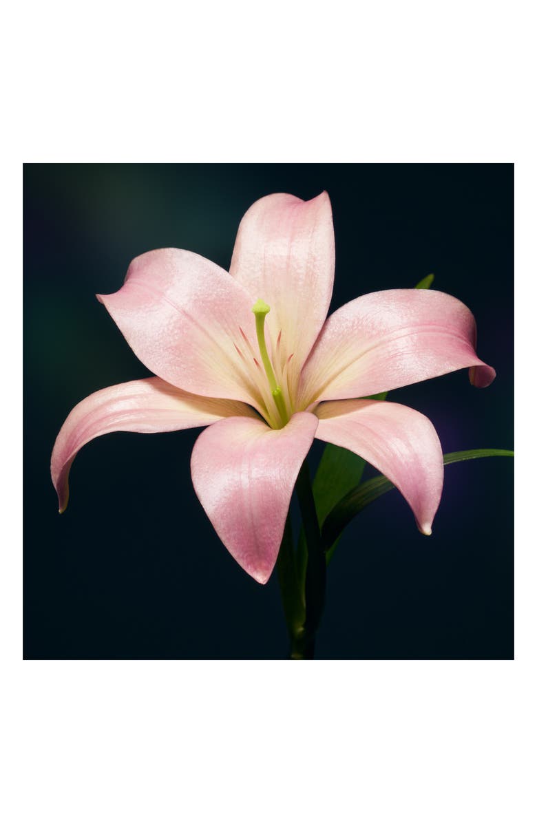 Shiseido Future Solution LX Legendary Enmei Ultimate Renewing Cream, Alternate, color, 