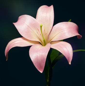 Vital Perfection Concentrated Supreme Cream