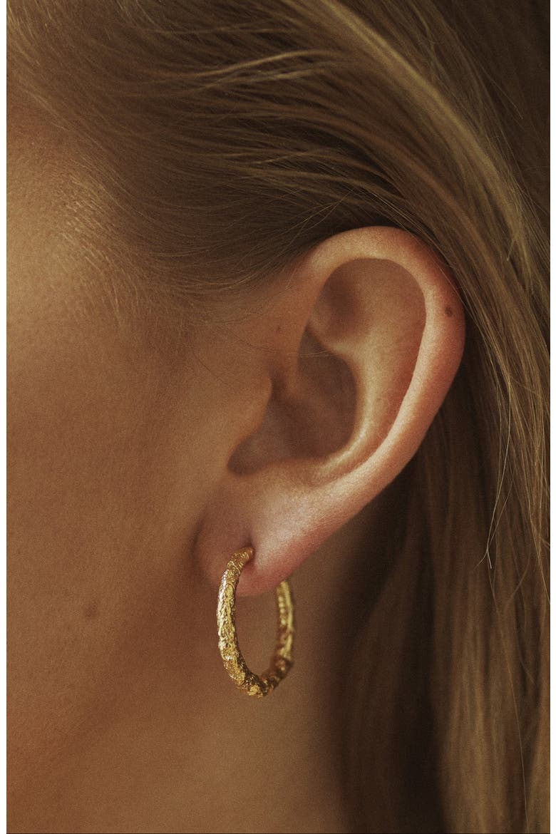 Big Hoop Gold, Alternate, color, Gold