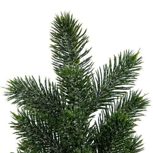 Northlight Mini Iced Pine Artificial Christmas Trees In Green
