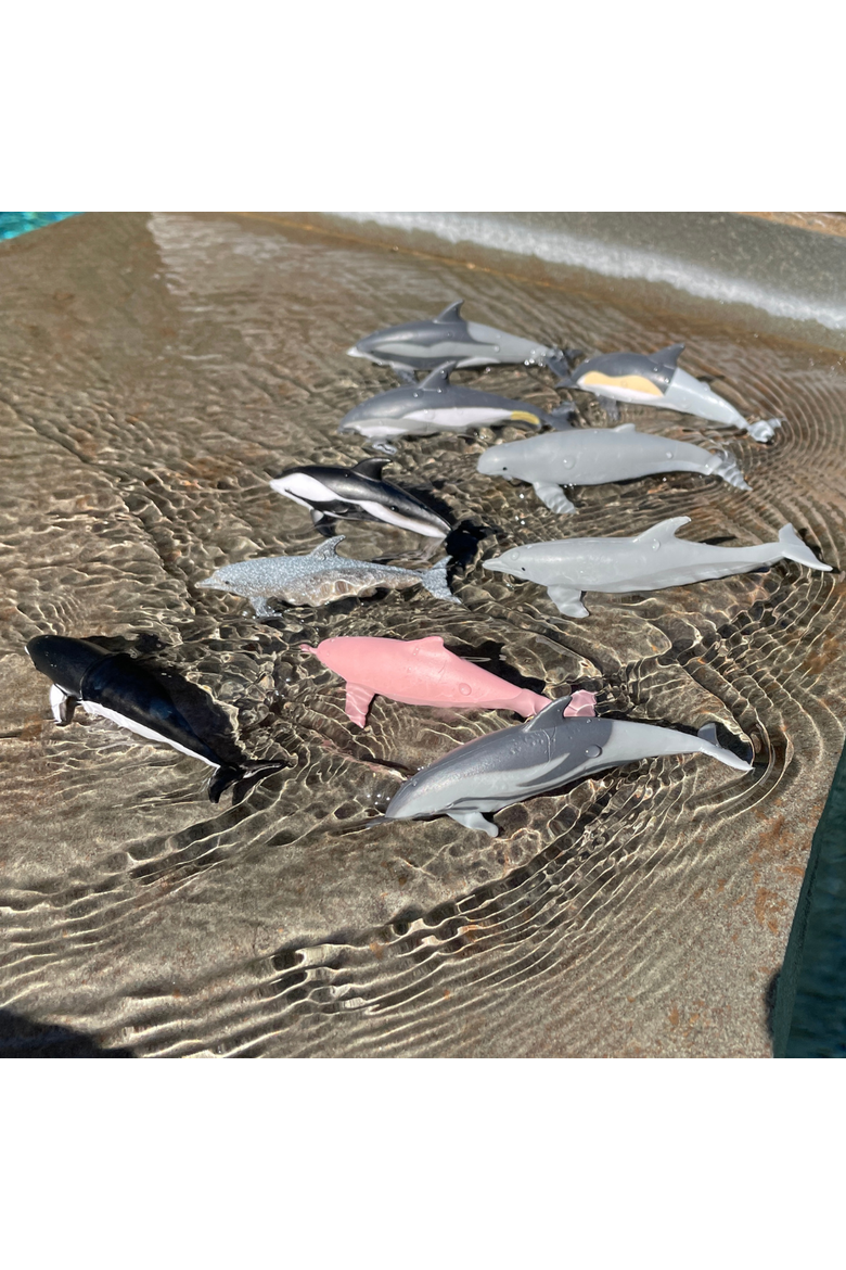 Dolphins Toy, Alternate, color, No Color