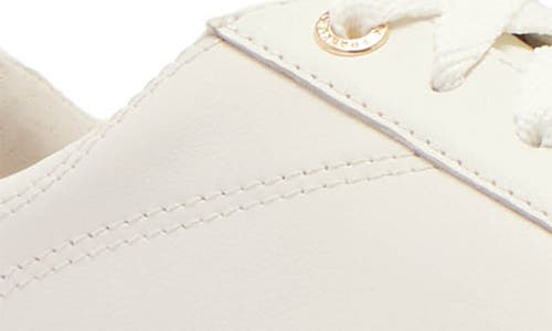 Frankie4 Asher Sneaker