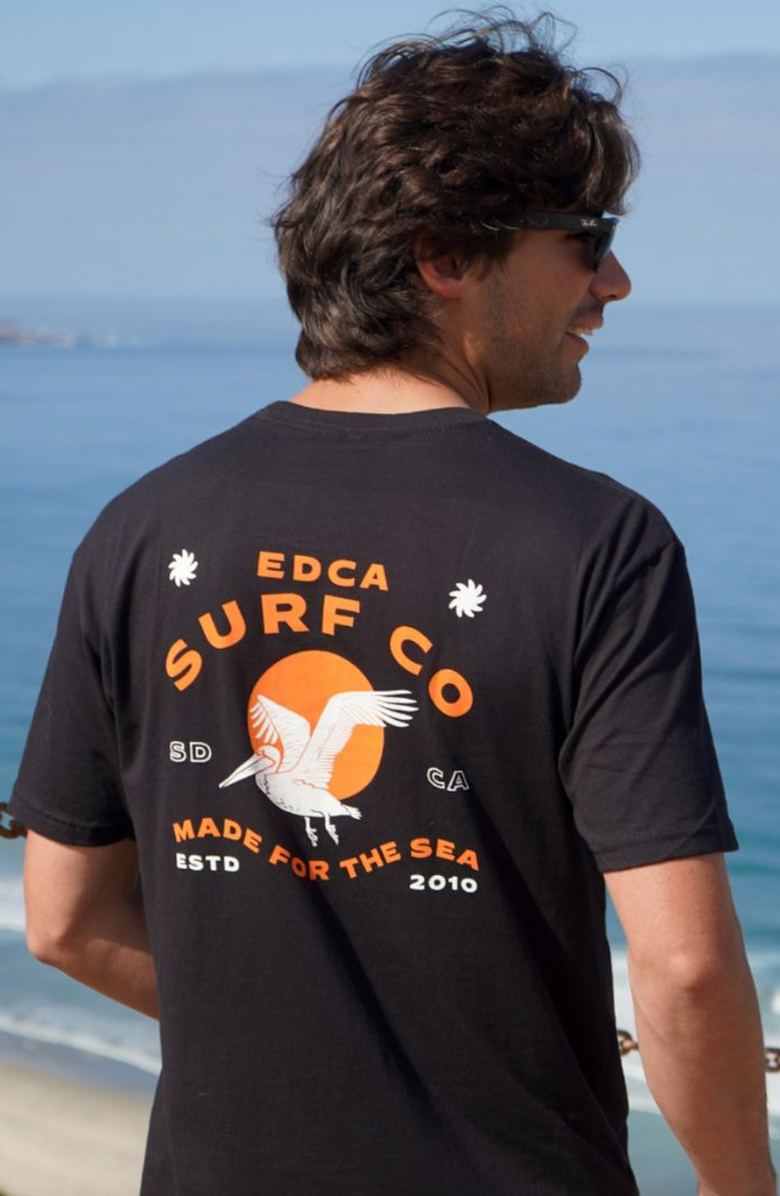 Everyday California Waterbird Tee Shirt, Alternate, color,