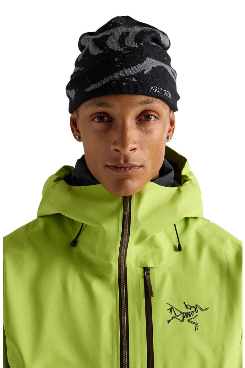 Grotto Toque Beanie, Alternate, color, BLACK / VOID