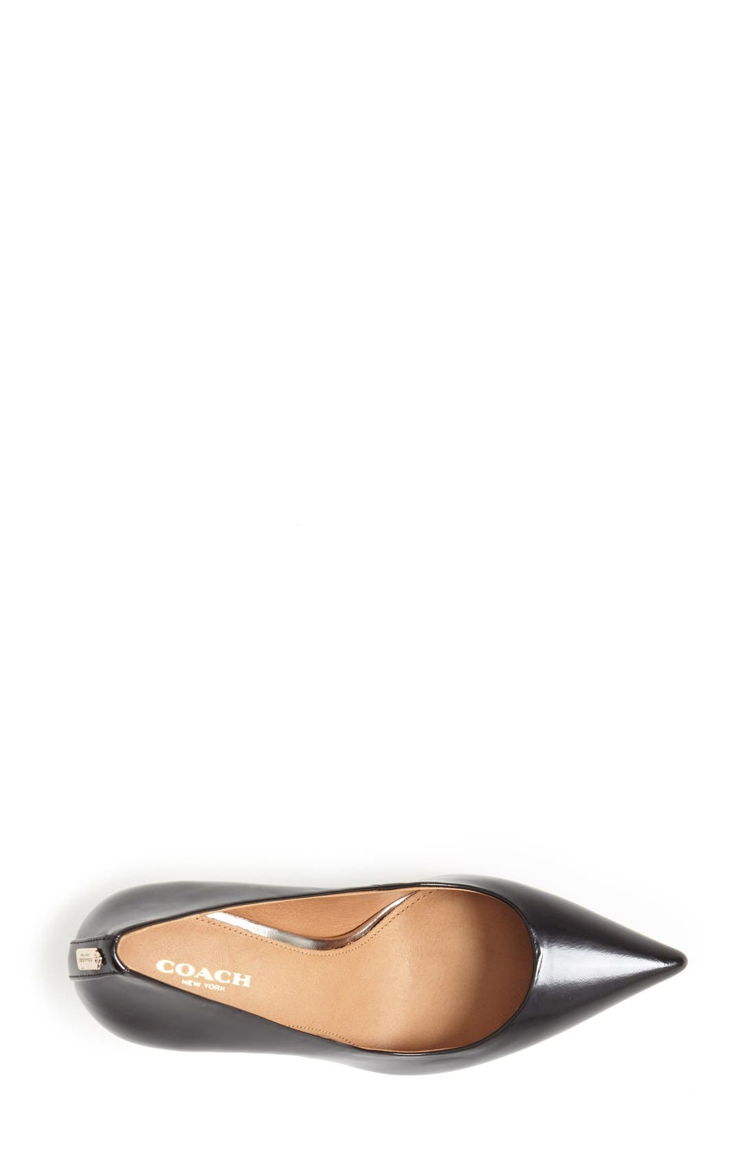 COACH 'Teddie' Pointy Toe Pump, Alternate, color, 