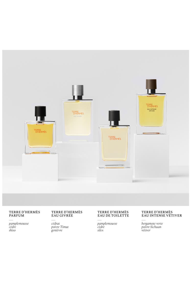Terre d’Hermès - Eau de Toilette, Alternate, color, NO COLOR