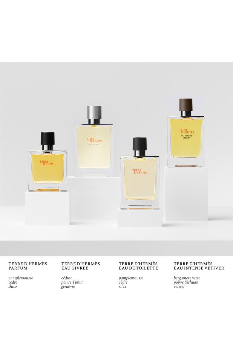 Hermès Terre d’Hermès - Pure Perfume, Alternate, color,