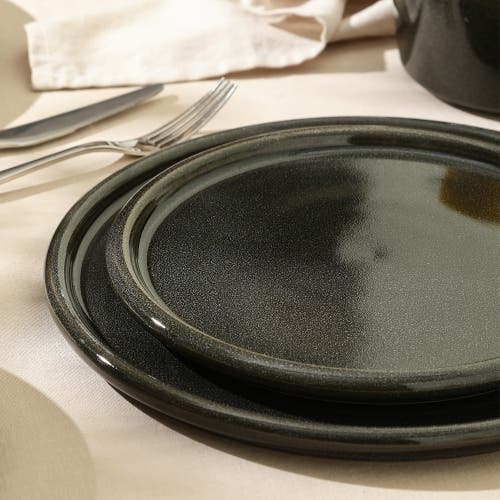Stone Lain Eden Stoneware 4-piece Dinner Plate Set In Black