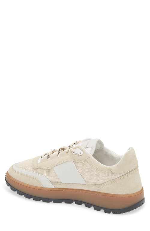 Collegium Pillar Trail Sneaker In Neutral