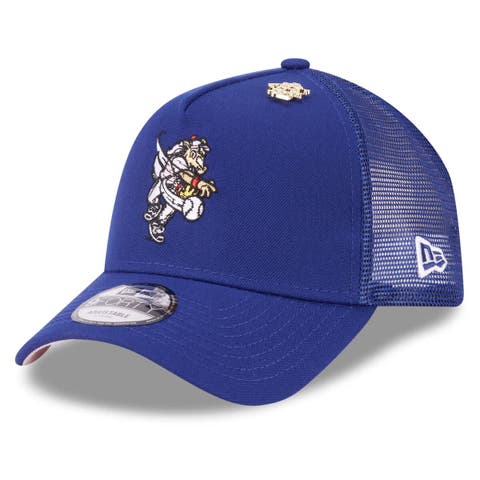 Men's New Era  Royal Texas Rangers 2025 Big League Chew A-Frame 9FORTY Adjustable Trucker Hat