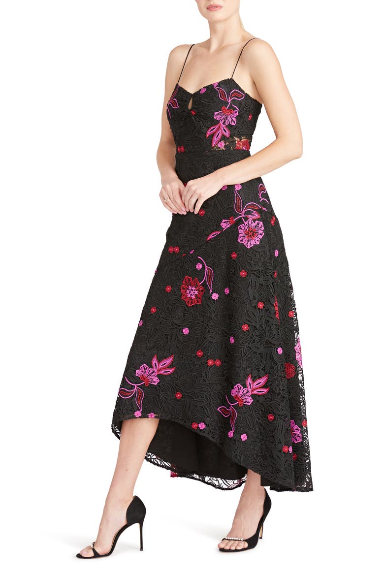 Sleeveless Embroidered Lace A-Line Dress, Alternate, color, BLACK MULTI