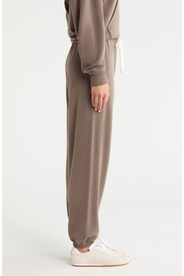Andie Oversized Modal Fleece Sweatpants, Alternate, color, LENTIL