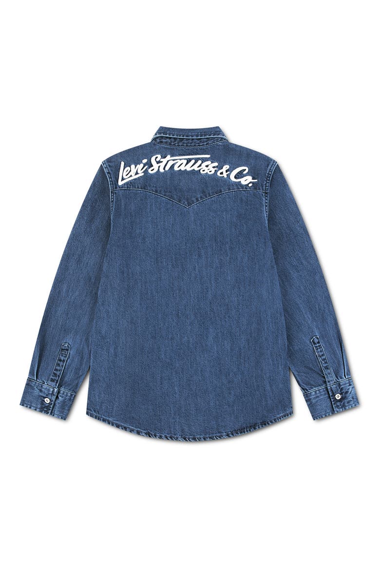Kids' Western Logo Shirt, Alternate, color, TARNANTION/ NO DESTRUCTION