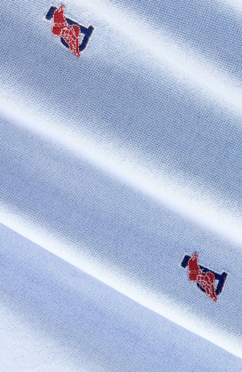 Polo Ralph Lauren Classic Oxford Button-Down Sport Shirt, Alternate, color, 