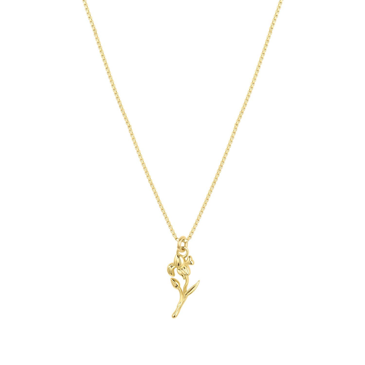 Gold / February