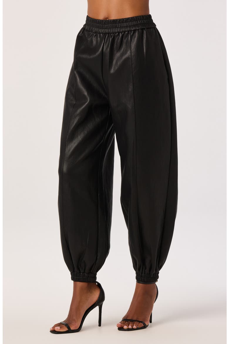 Adity Faux Leather Pants, Alternate, color, BLACK