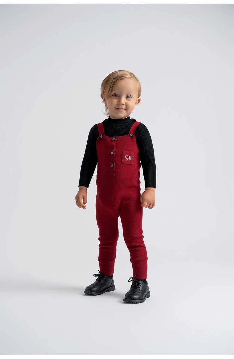 Charlotte & George Crest Embroidery Knit Overall, Alternate, color, Dark Grey