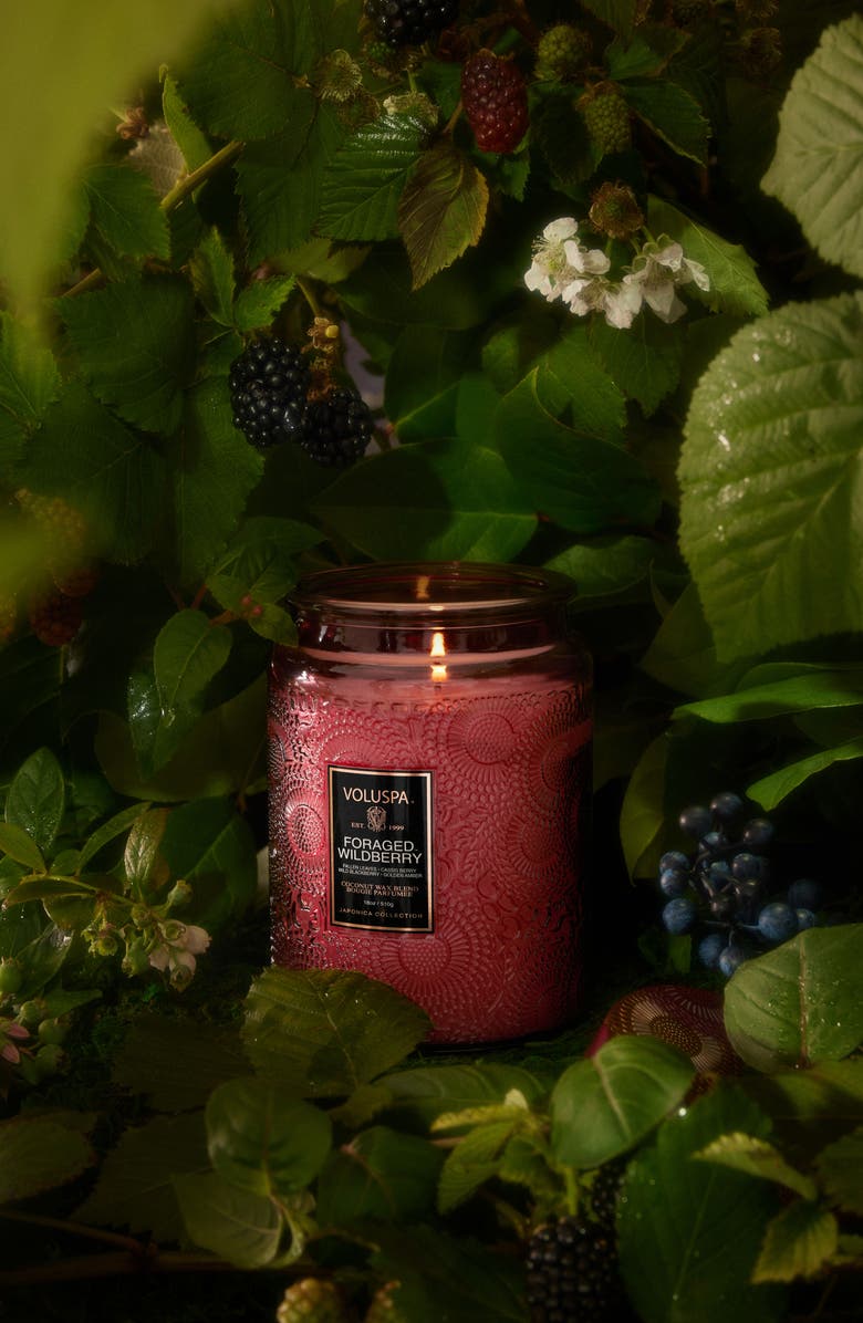 Voluspa Foraged Wildberry Large Jar Candle, Alternate, color, Foraged Wildberry