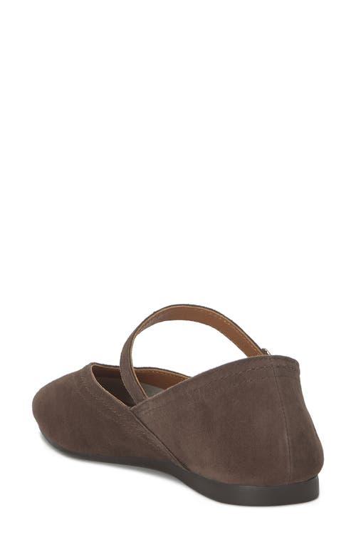 Lucky Brand Albajane Flat In Brown