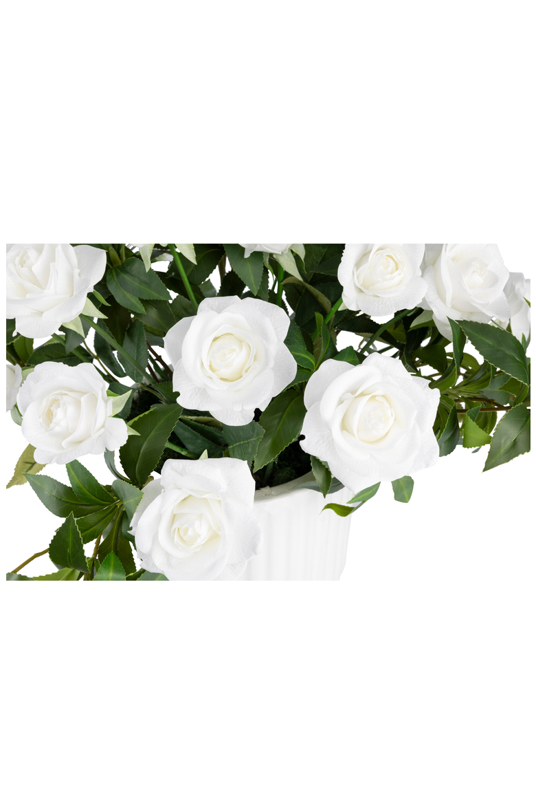 Lucienne RealTouch Rosebush Arrangement, Alternate, color, White