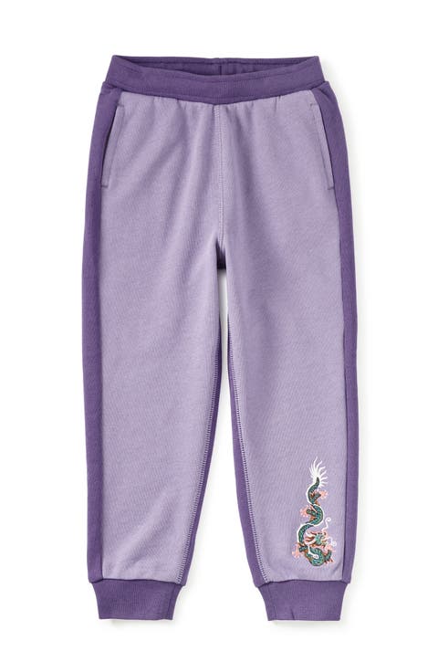 Colorblock Dragon Joggers