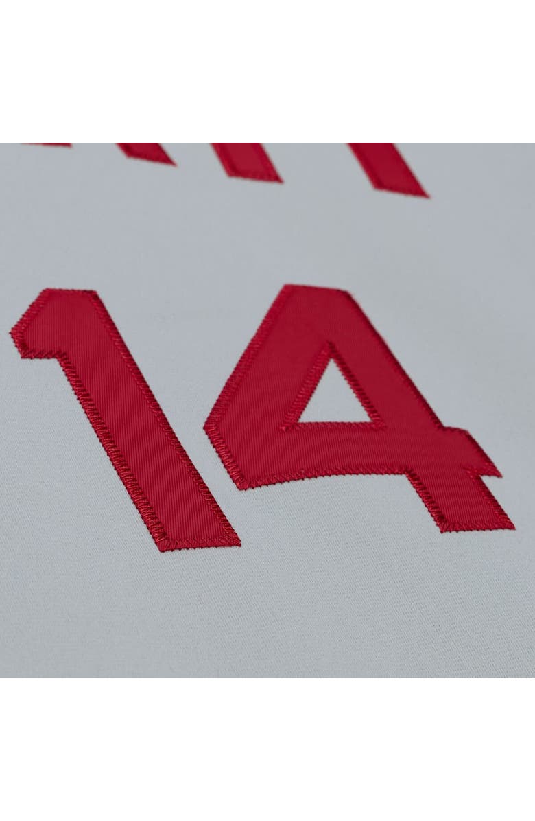 Mitchell & Ness Men's Mitchell & Ness Pete Rose Gray Cincinnati Reds 1976 Authentic Jersey, Alternate, color, Gray