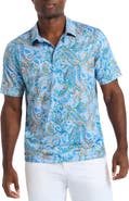 Robert Graham Pike Paisley Knit Polo