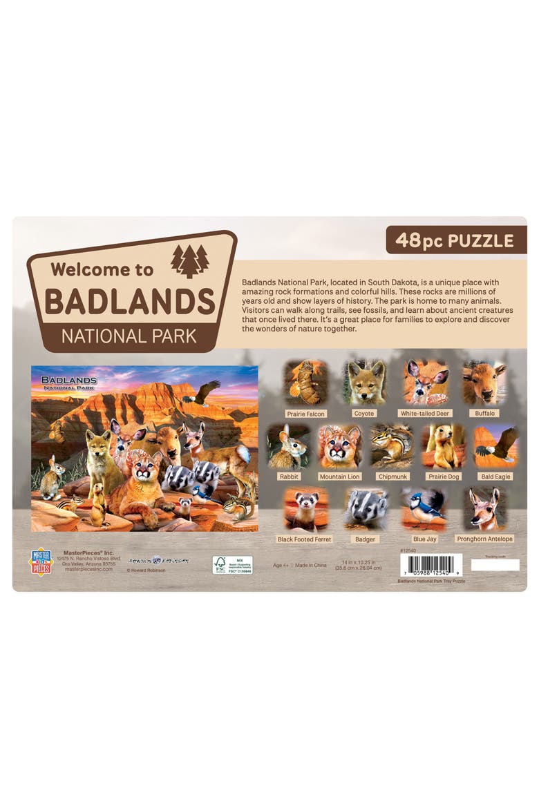 Badlands National Park 48pc Tray Puzzle, Alternate, color, Multicolor