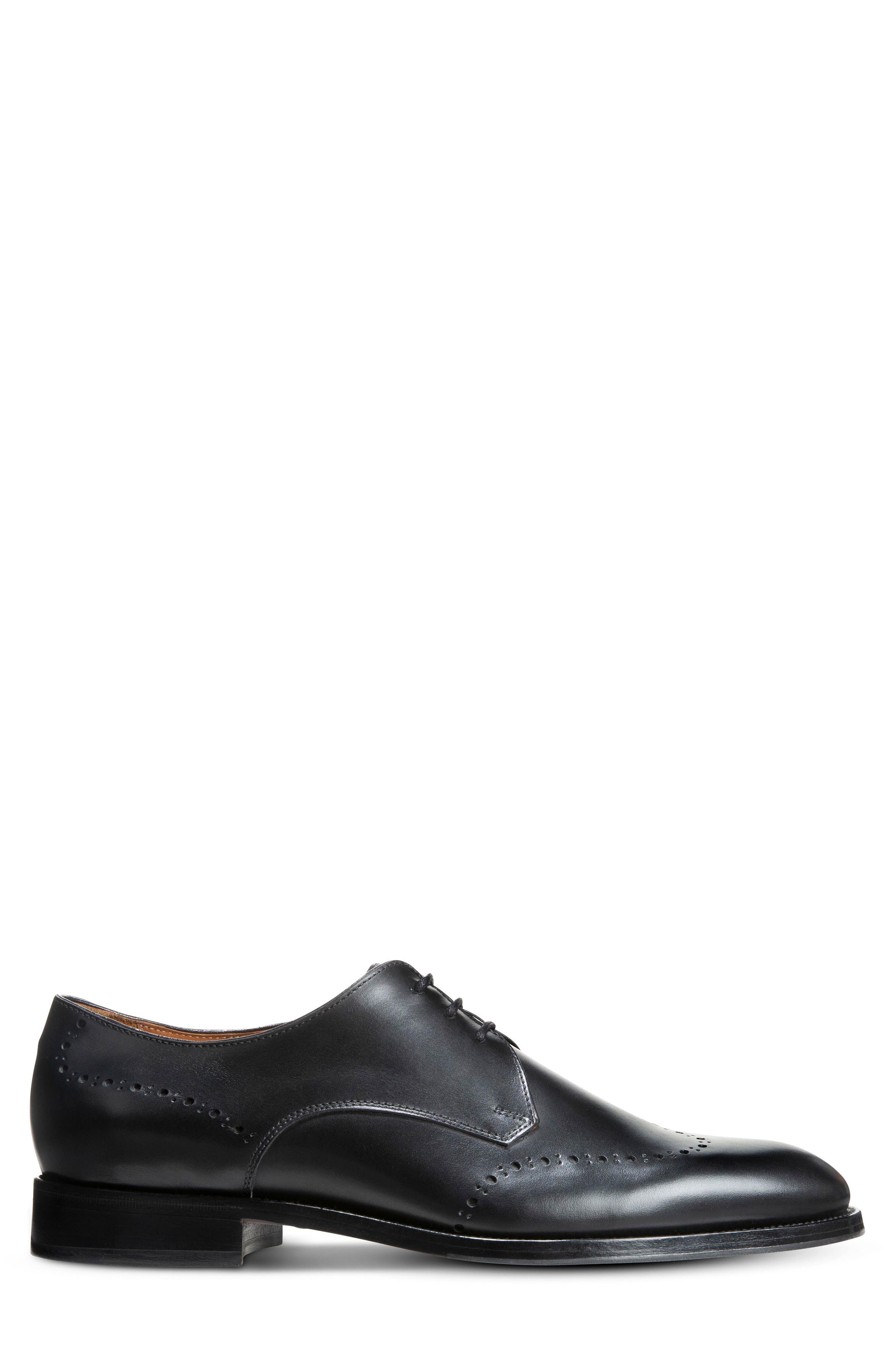 Allen Edmonds Lucca Derby, Alternate, color, 