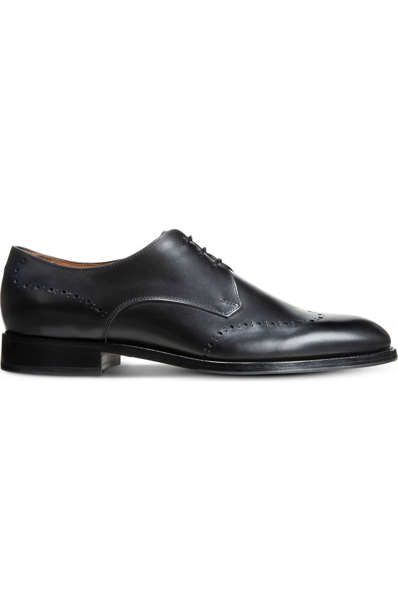 Allen Edmonds Lucca Derby, Alternate, color,