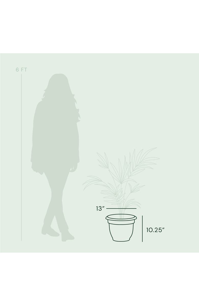 Bloem Fiskars Bloem 12 Inch Ariana Planter With Selfwatering Grid, Color Clay, Alternate, color, Brown