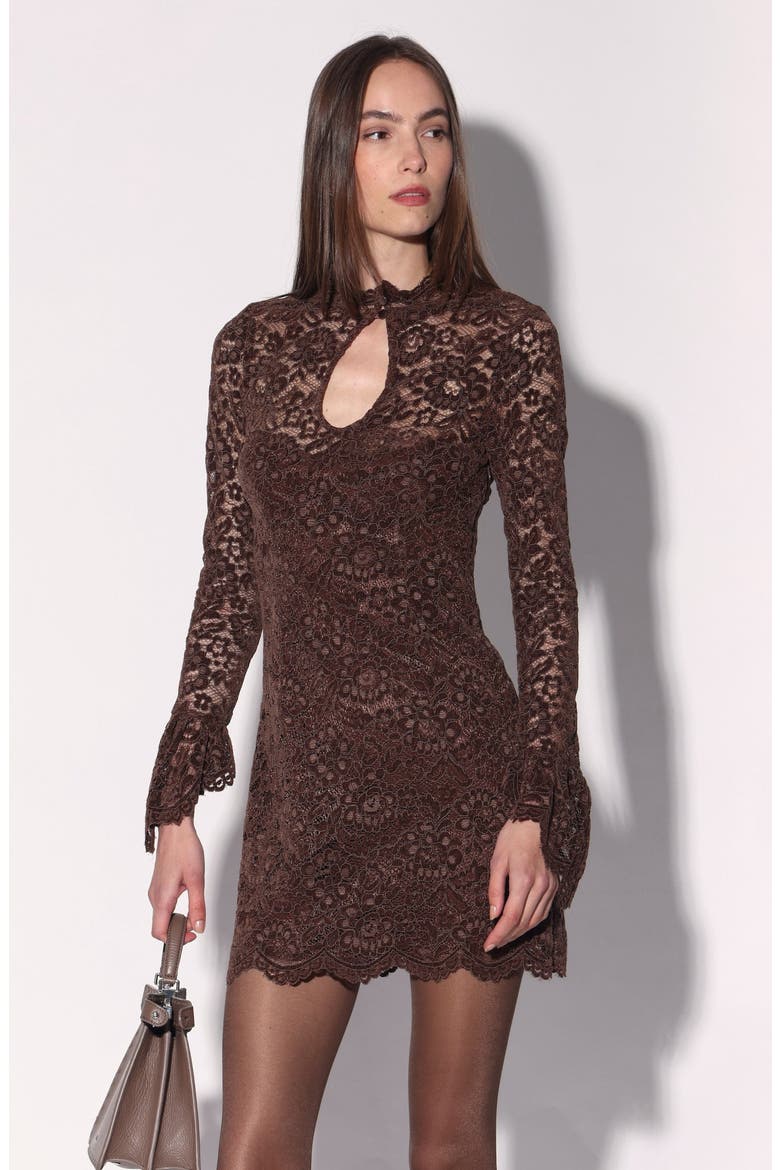Lena Dress Lace, Alternate, color, Chocolate