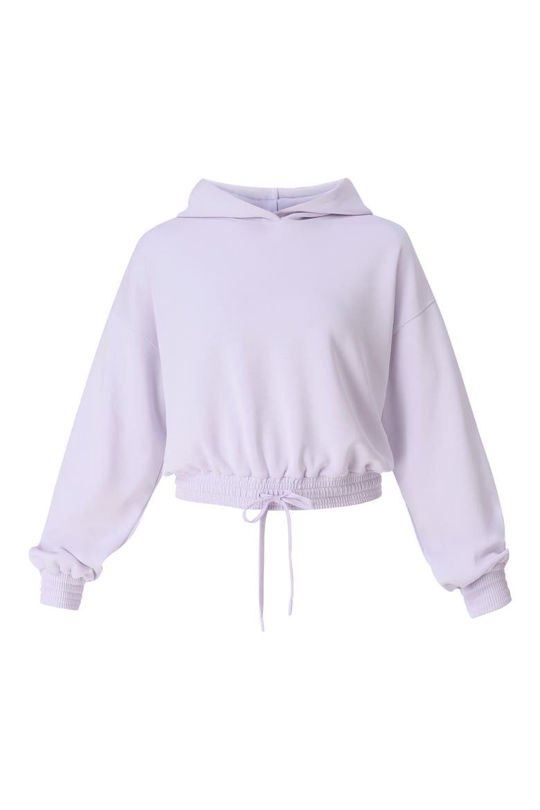 Sand Wash Cloud Weight Crop Hoodie, Alternate, color, HEATHER PURPLE