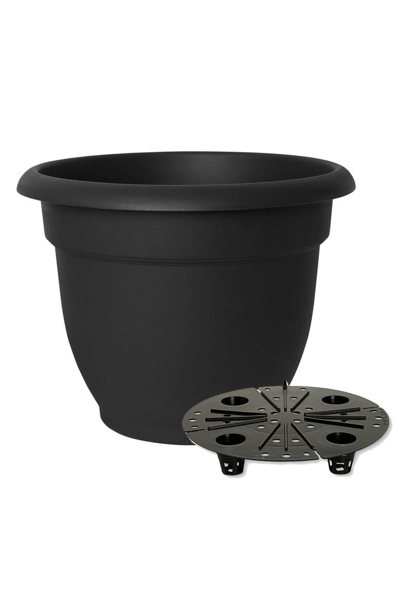 Bloem 12 Inch Ariana Pot Planter, Black, Alternate, color, Black