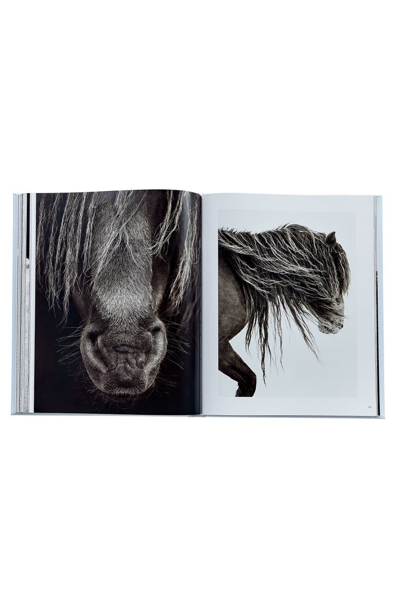 Graphic Image Untamed Spirits Horses From Around the World Leather Edition, Alternate, color, Cloud
