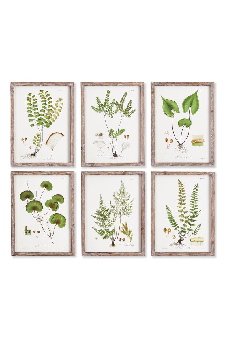 Shade Garden Study, Set Of 6, Main, color, Green
