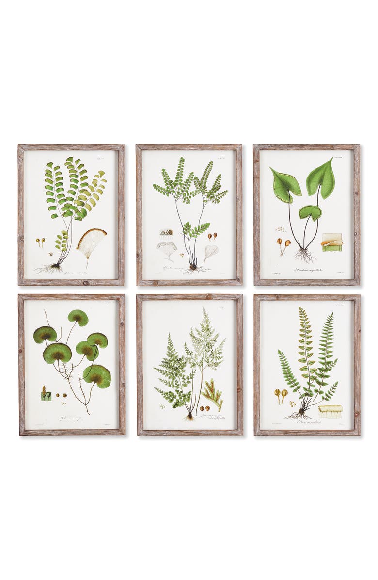 Napa Home & Garden Shade Garden Study, Set Of 6, Main, color, Green