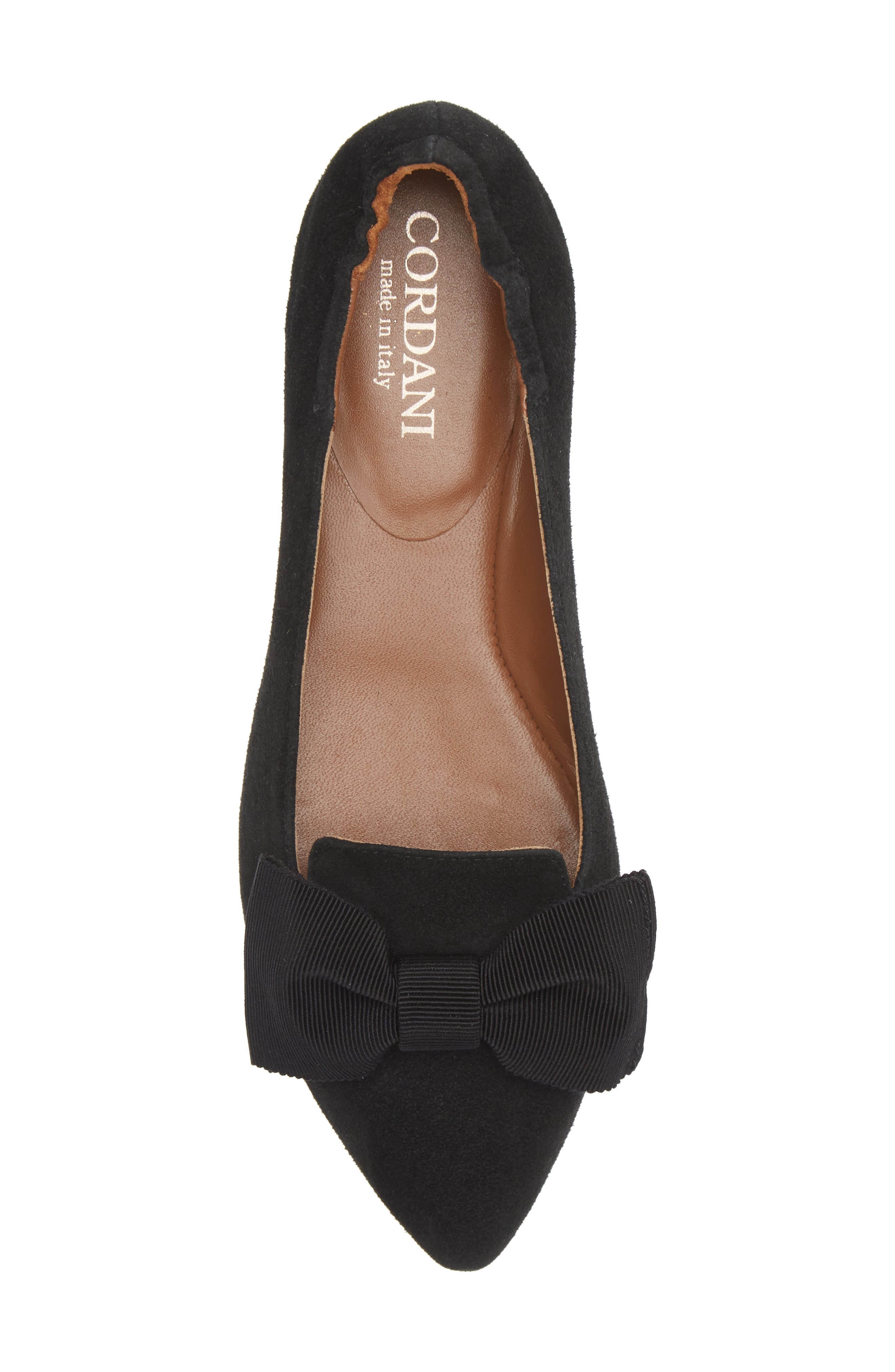 Cordani Vienna Pointed Toe Flat, Alternate, color, 