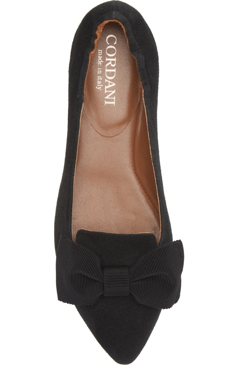 Cordani Vienna Pointed Toe Flat, Alternate, color,
