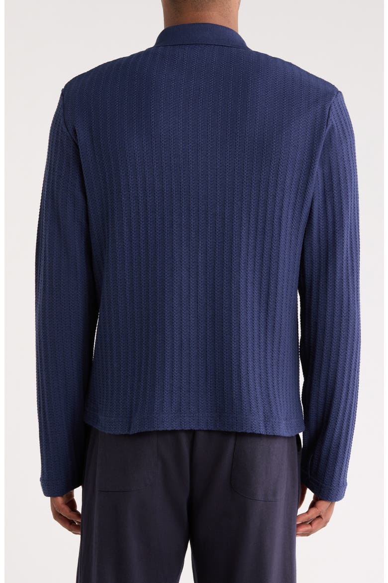 Long Sleeve Polo, Alternate, color, NAVY