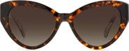 Kate Spade New York paisleigh 55mm gradient cat eye sunglasses