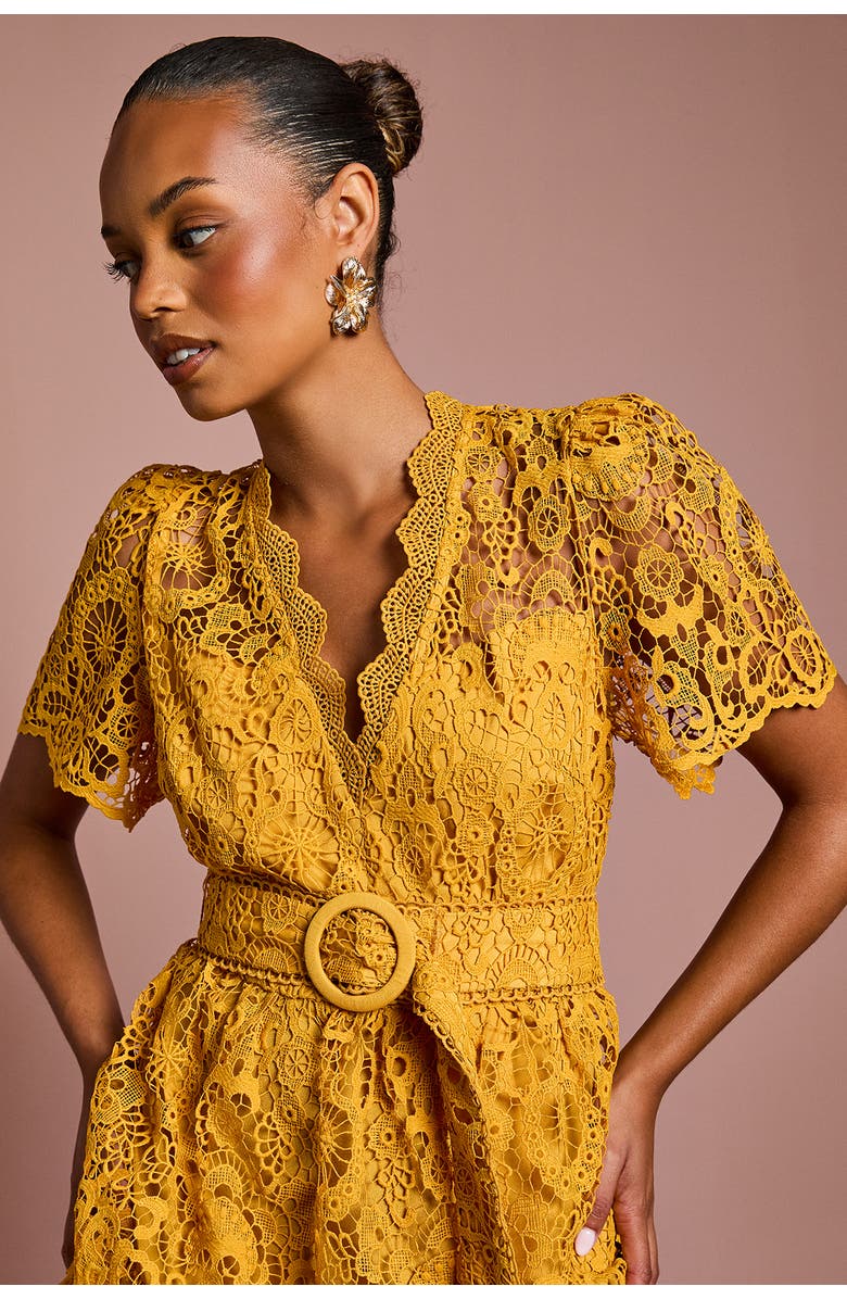 Coast Tiered Lace Midi Dress, Alternate, color, Gold