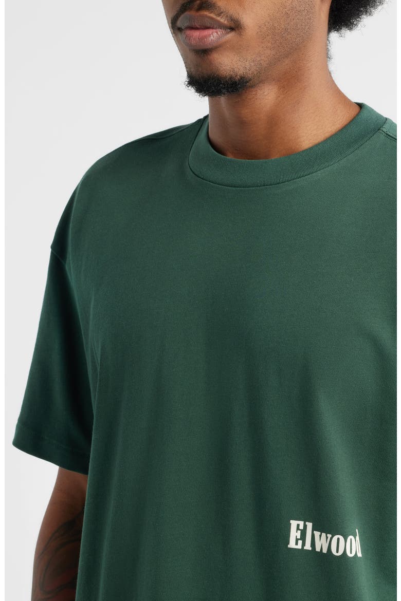 Boxy Heavyweight Cotton Crop T-Shirt, Alternate, color, EMERALD
